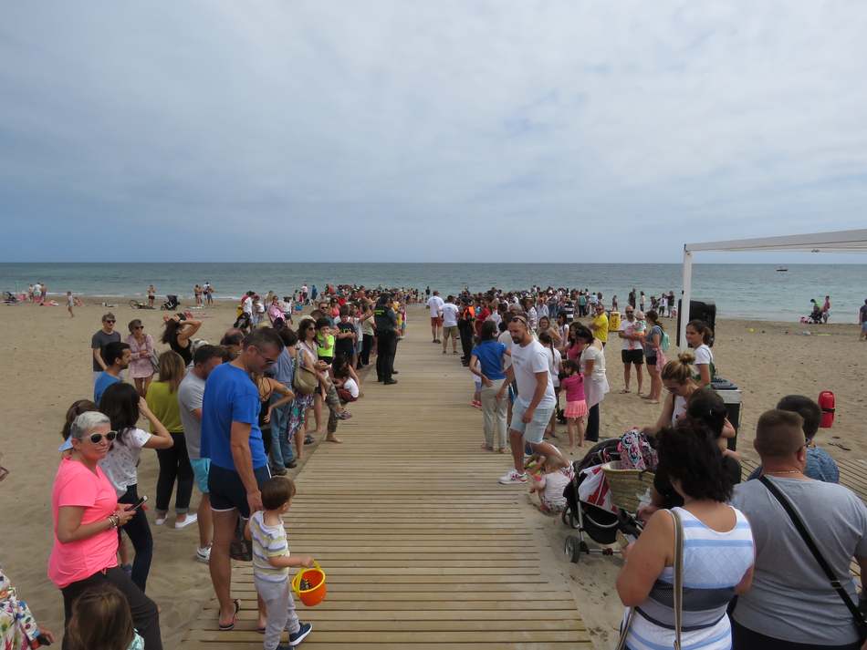 Más de medio millar de personas participa en la suelta de tortugas marinas en la playa Punta...