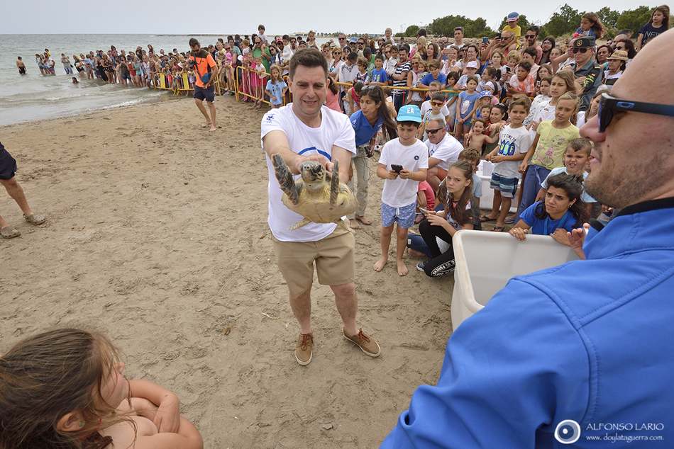  Més de mig miler de persones participa en la solta de tortugues marines a la platja de Punt...