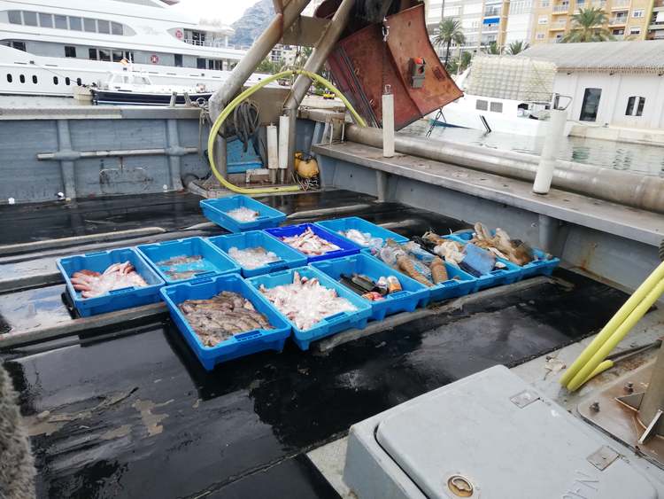  Los pescadores de Dénia “pescaron” 6.000 kilos de plástico del mar en 2018 