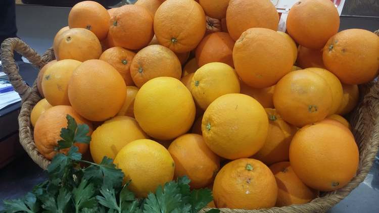 

Dénia promueve el consumo de naranjas de productores locales en las escuelas