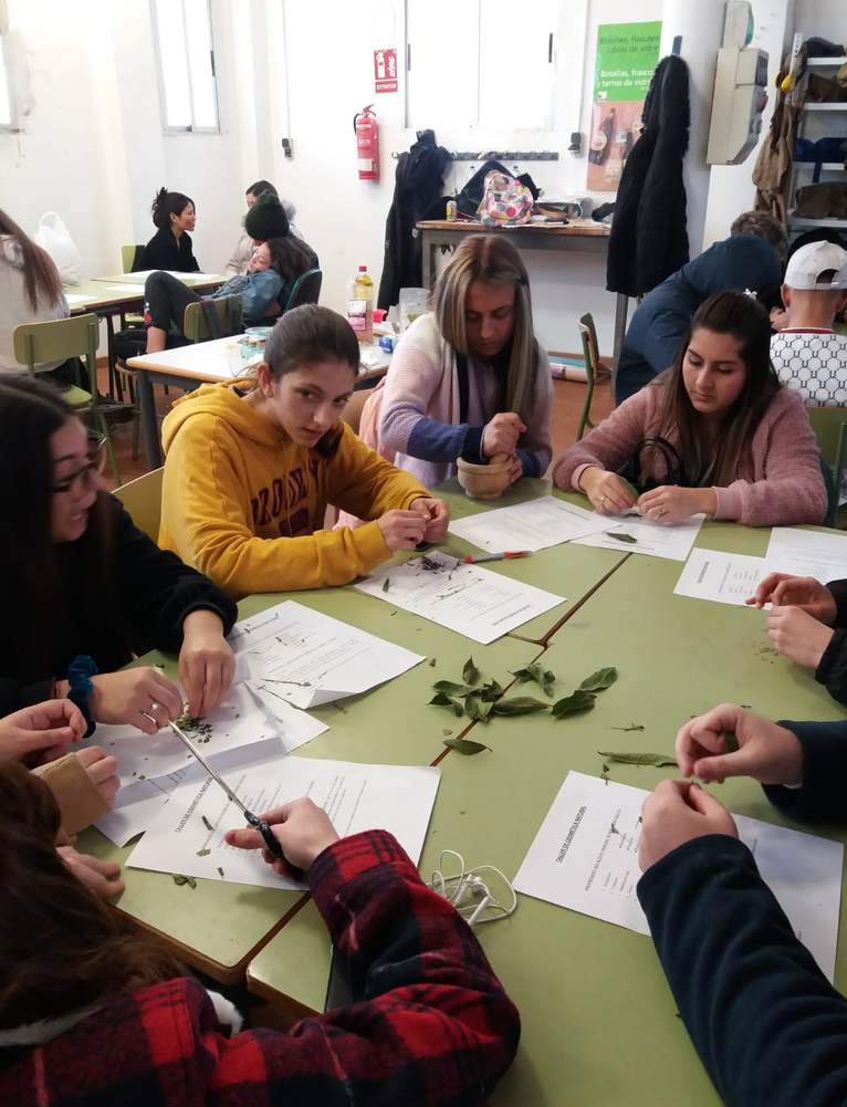 Alumnado de los programas formativos de conservación de montes y de peluquería y estética de...