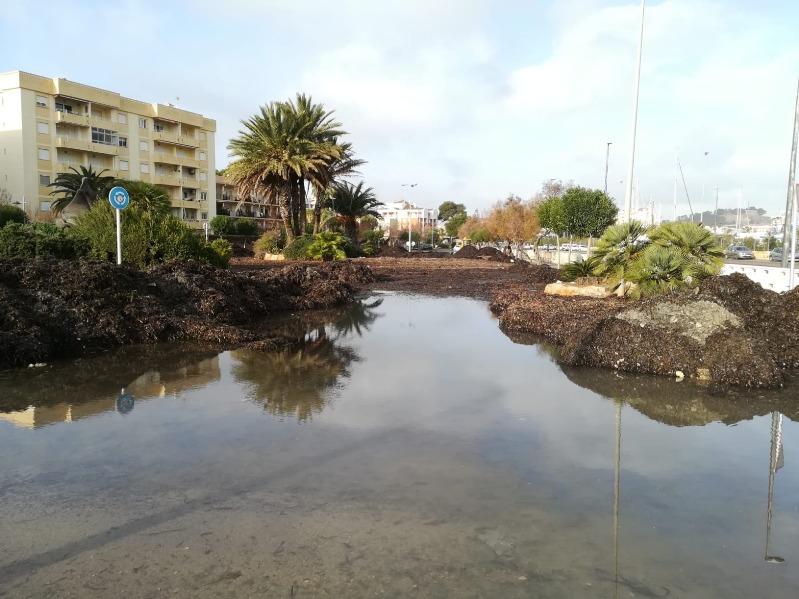 Dénia aprueba inicialmente el Plan de Actuación Municipal (PAM) frente al riesgo de inundaci...