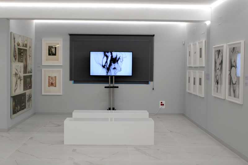 Naix a Dénia l’Espai d’art Joan Castejón, un projecte expositiu sobre la trajectòria de l’ar...