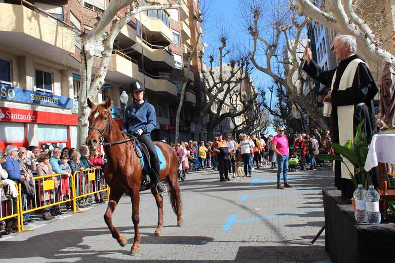 El Ajuntament de Dénia suspende este año la bendición de animales por Sant Antoni