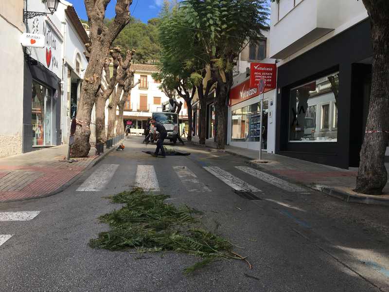 Cierre al tráfico de Carlos Sentí por trabajos de poda