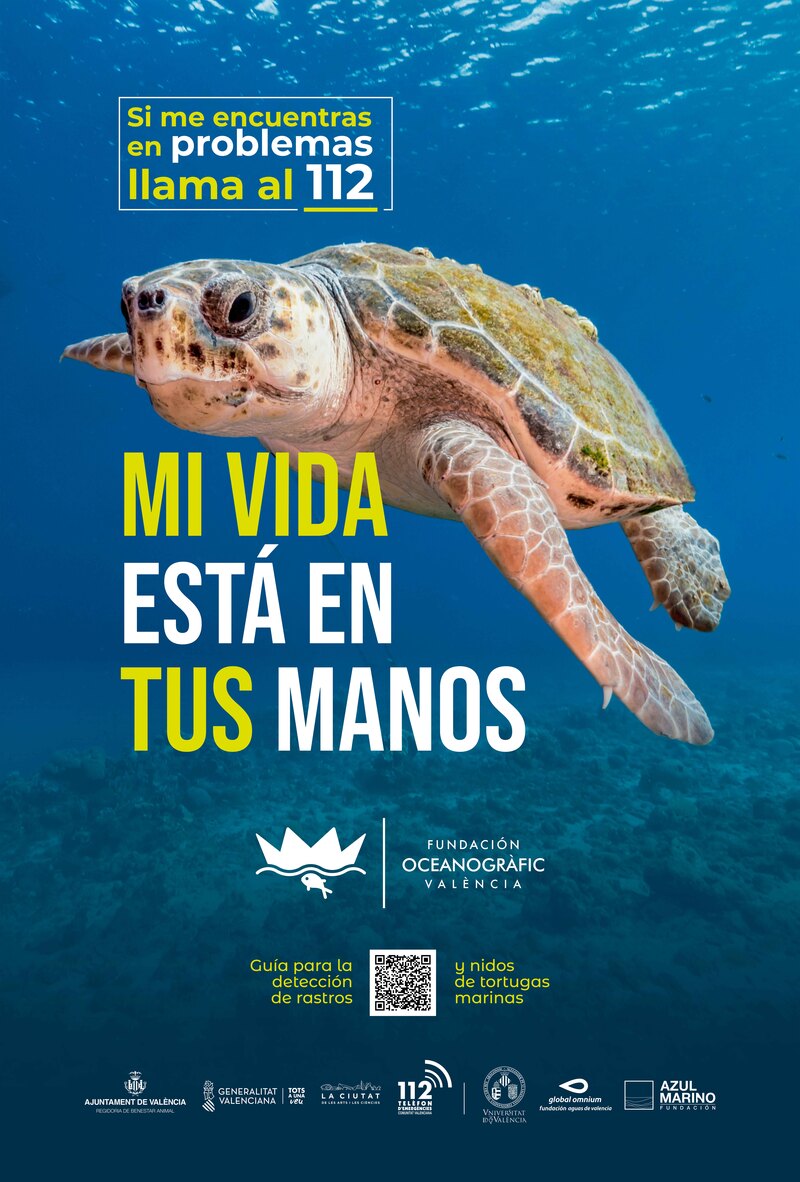  La campaña “Tortugas en el Mediterráneo 2022” de la Fundación Oceanogràfic estará presente en 60 municipios de la Comunitat Valenciana, Región de Murcia e Illes Balears 