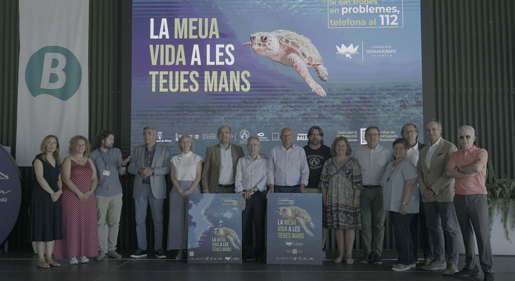  La campaña “Tortugas en el Mediterráneo 2022” de la Fundación Oceanogràfic estará presente en 60 municipios de la Comunitat Valenciana, Región de Murcia e Illes Balears 