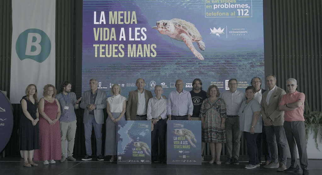 La campaña “Tortugas en el Mediterráneo 2022” de la Fundación Oceanogràfic estará presente e...