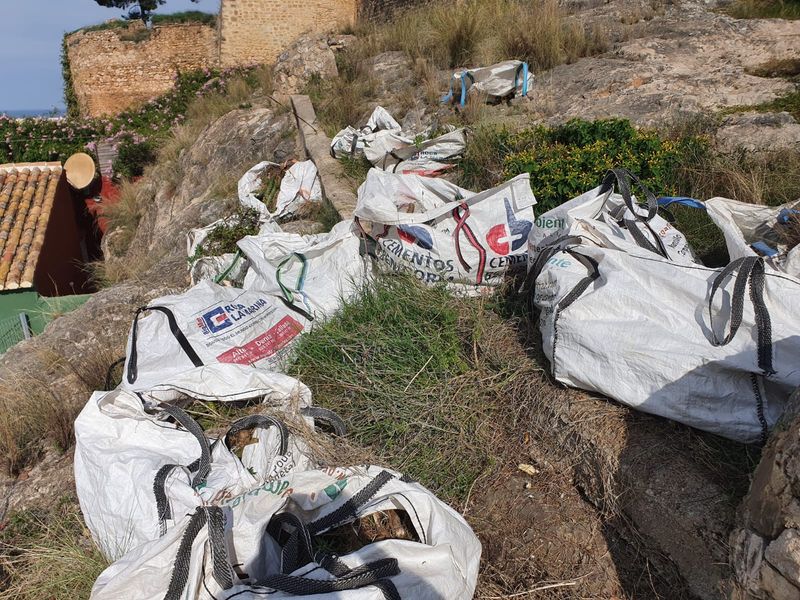 El Ajuntament de Dénia comienza esta semana las labores de desbroce y tratamiento contra la ...