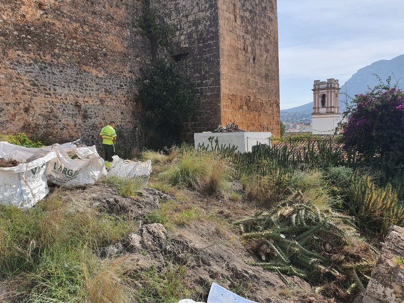 El Ajuntament de Dénia comienza esta semana las labores de desbroce y tratamiento contra la ...