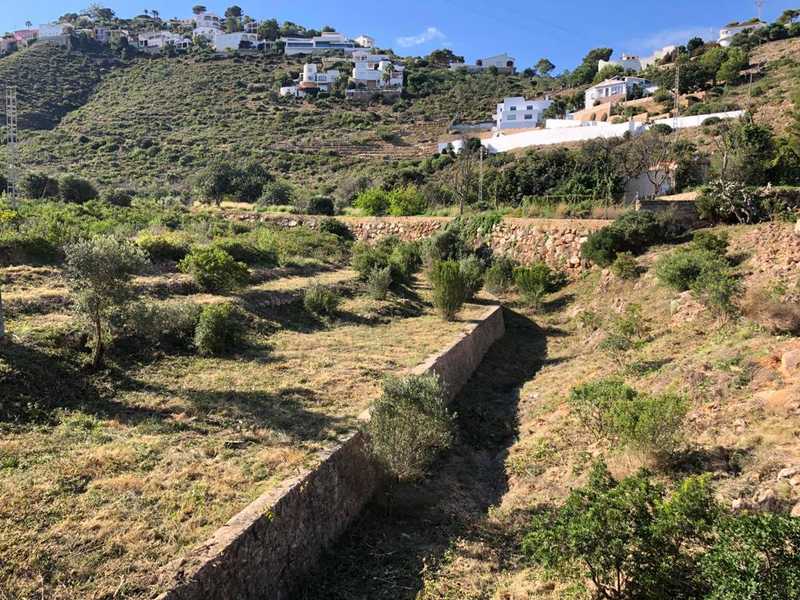 El Ajuntament de Dénia inicia los trabajos de creación de una franja cortafuegos a la zona d...