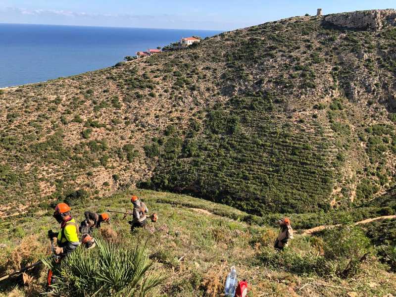 El Ajuntament de Dénia inicia los trabajos de creación de una franja cortafuegos a la zona d...