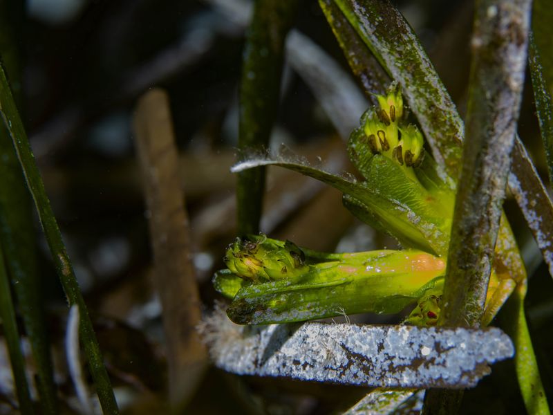 Primer premio del concurso de fotografía 