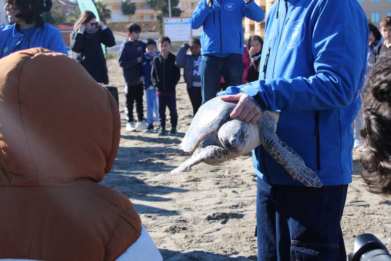 El Proyecto Posidonia llega a los centros educativos de Dénia con la actividad de conciencia...