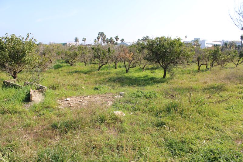  El Ajuntament de Dénia presenta el proyecto para la creación de un parque agrario experimental junto a la vía verde 