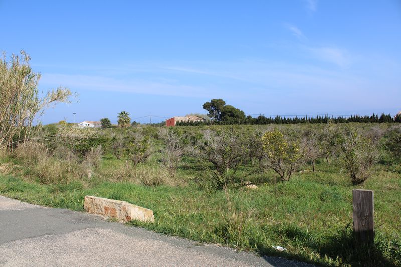  El Ajuntament de Dénia presenta el proyecto para la creación de un parque agrario experimental junto a la vía verde 