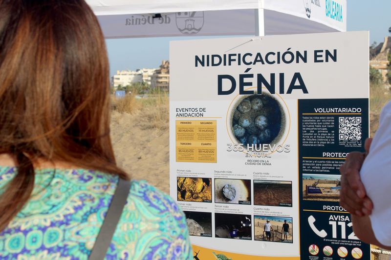La platja d'Albaranes acull el ‘Campament tortuga’