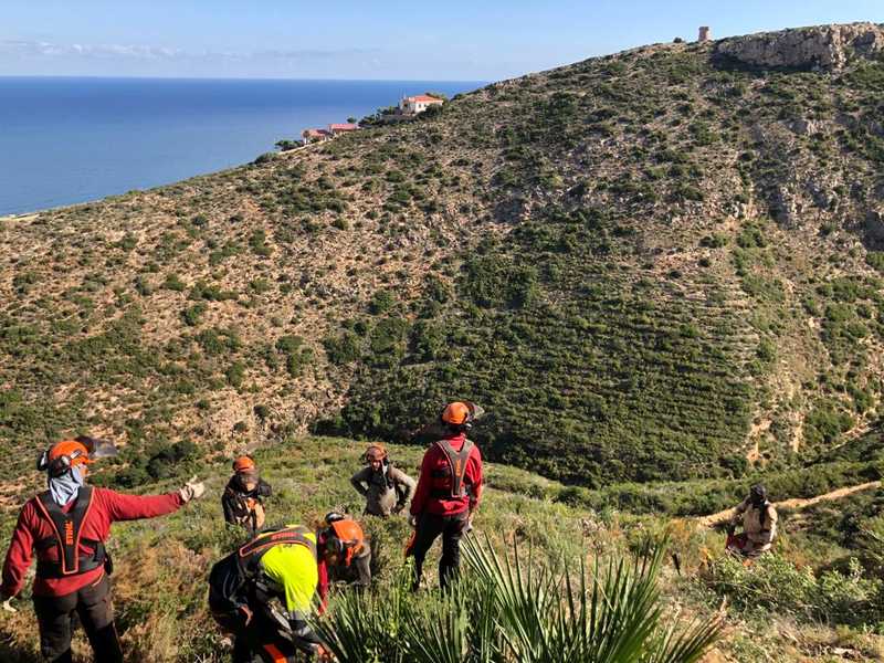 La Regidoria de Medi Ambient projecta diverses actuacions en matèria de prevenció d’incendis...