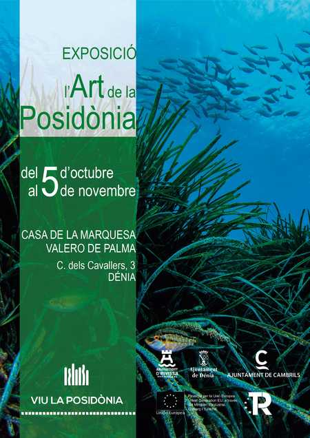 
I la posidònia es va fer art