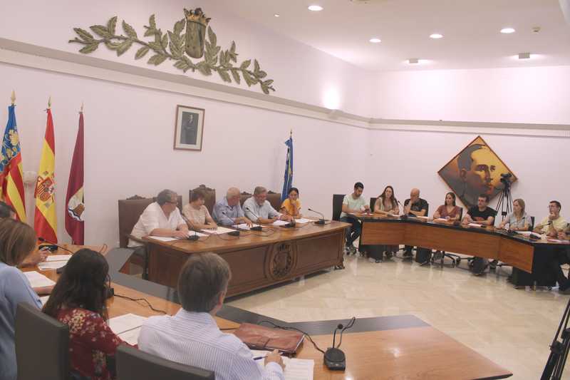 Acords del ple extraordinari