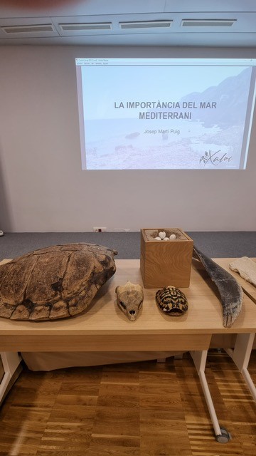 L'Ajuntament de Dénia organitza uns tallers mediambientals dirigits a l'alumnat