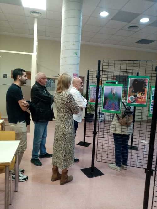 Obertura de l’exposició de cartells sobre el Dia Internacional de l’erradicació de la violèn...