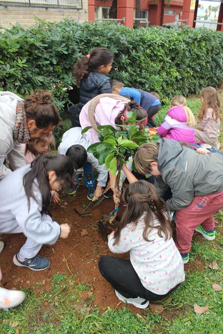 Plantació al col·legi Llebeig