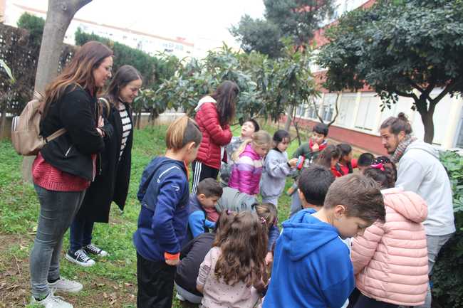 Dénia celebra el Dia de l’Arbre a la Comunitat Valenciana amb plantacions als col·legis i en...