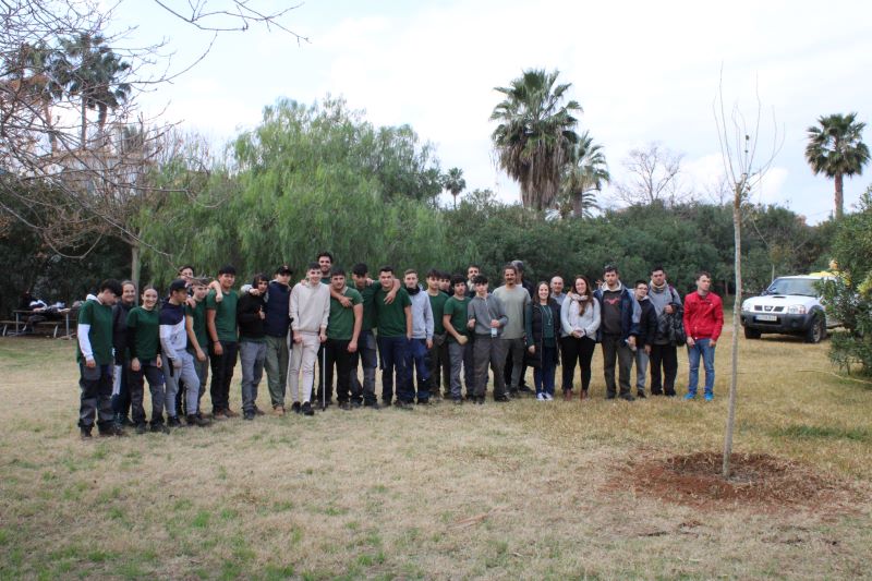 Dénia se suma a la celebració del Dia de l'Arbre de la Comunitat Valenciana
