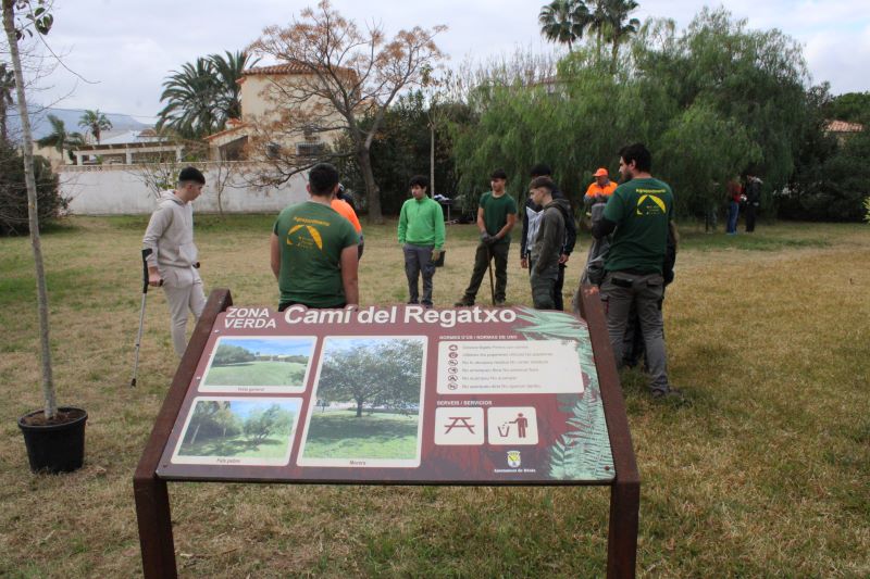 Dénia se suma a la celebració del Dia de l'Arbre de la Comunitat Valenciana