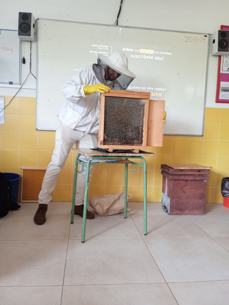 La asociación de Apicultores del Montgó muestra la importancia de las abejas al alumnado de ...