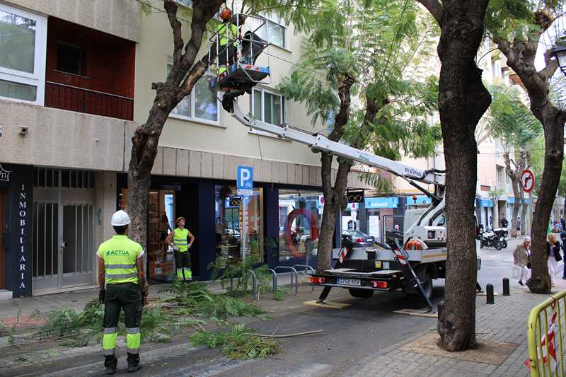 Trabajos de poda en la calle Carlos Sentí del 14 al 16 de mayo