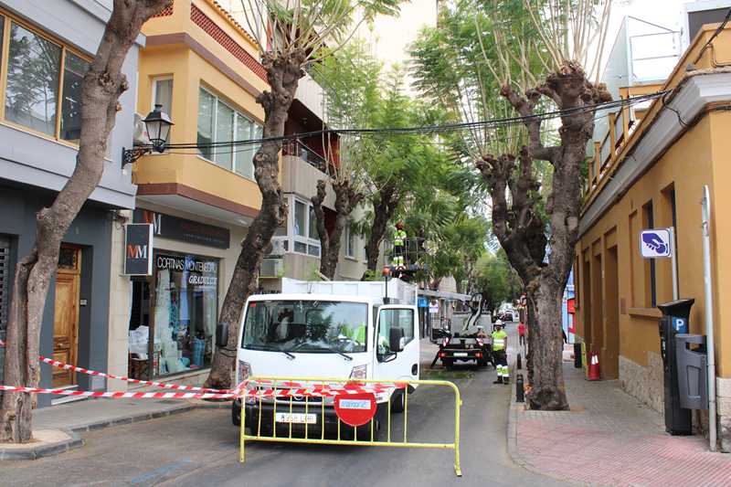 Treballs de poda al carrer de Carlos Sentí del 14 al 16 de maig