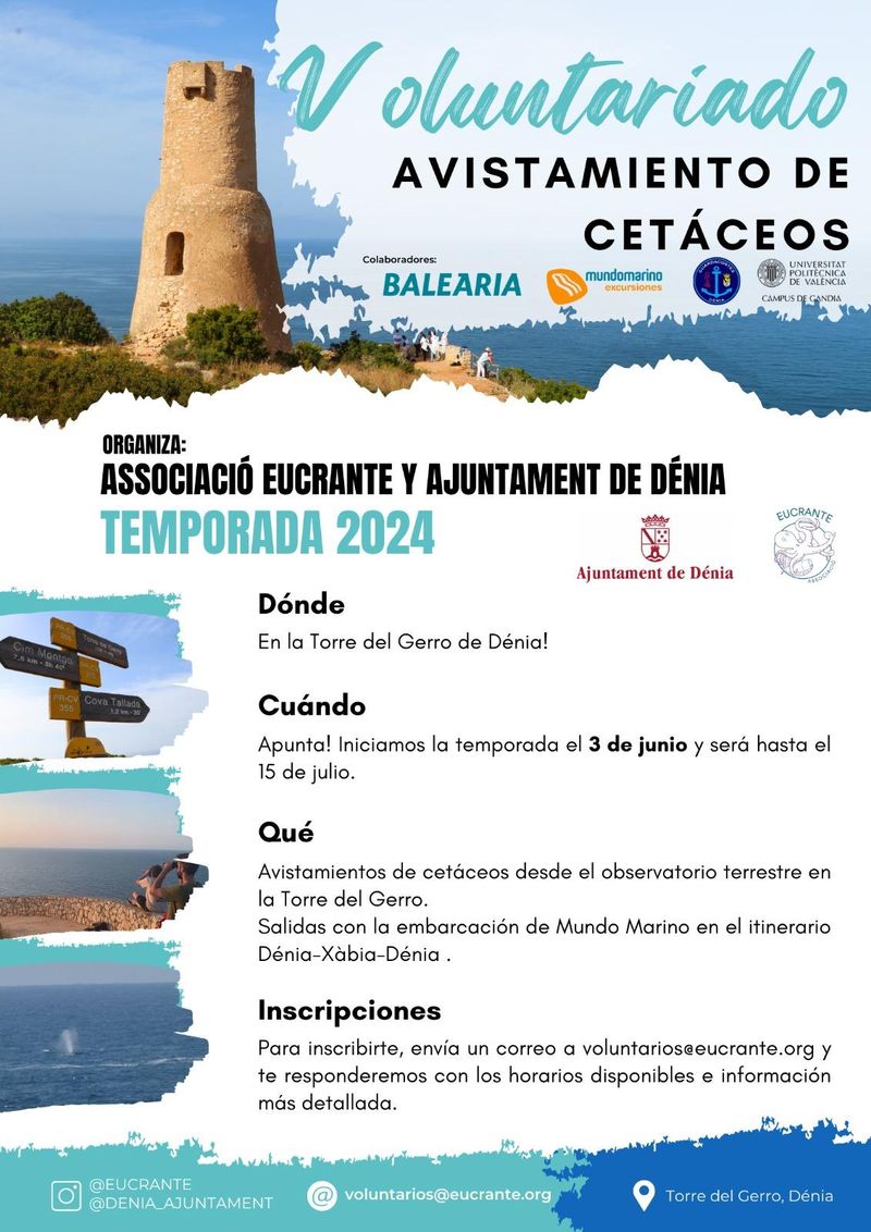 La costa de Dénia se ha convertido en un lugar privilegiado para avistar ballenas