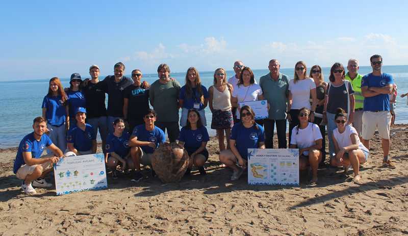 Set exemplars de tortuga babaua nascuts a Dénia l'any passat tornen a la mar