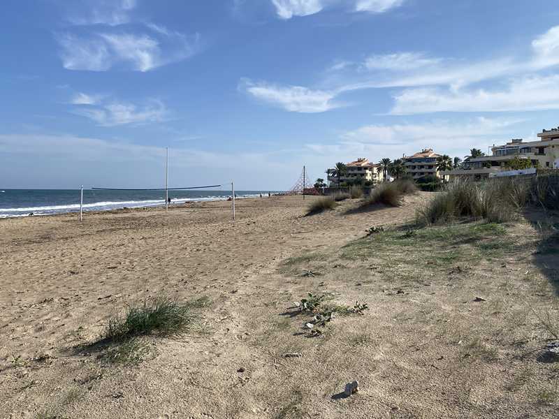L'Ajuntament de Dénia aprova un nou informe sobre la partició entre Deveses i el Palmar ...