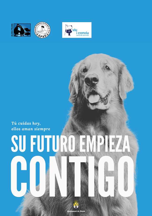 L'Ajuntament de Dénia llança una nova campanya de conscienciació en col·laboració amb le...
