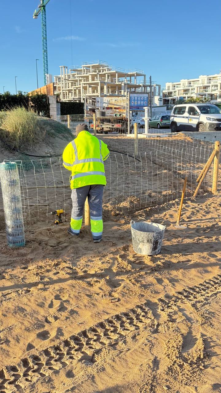 Dénia inicia la temporada de protecció especial de la nidificació del corriolet amb més de c...