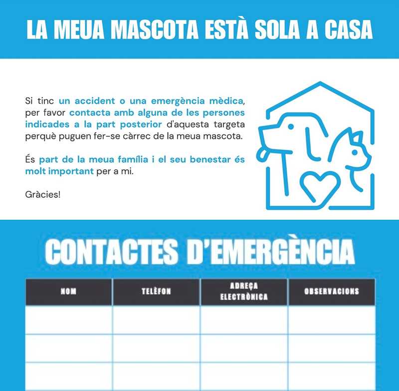 
La Regidoria de Benestar animal llança una iniciativa per a protegir les mascotes en cas d...