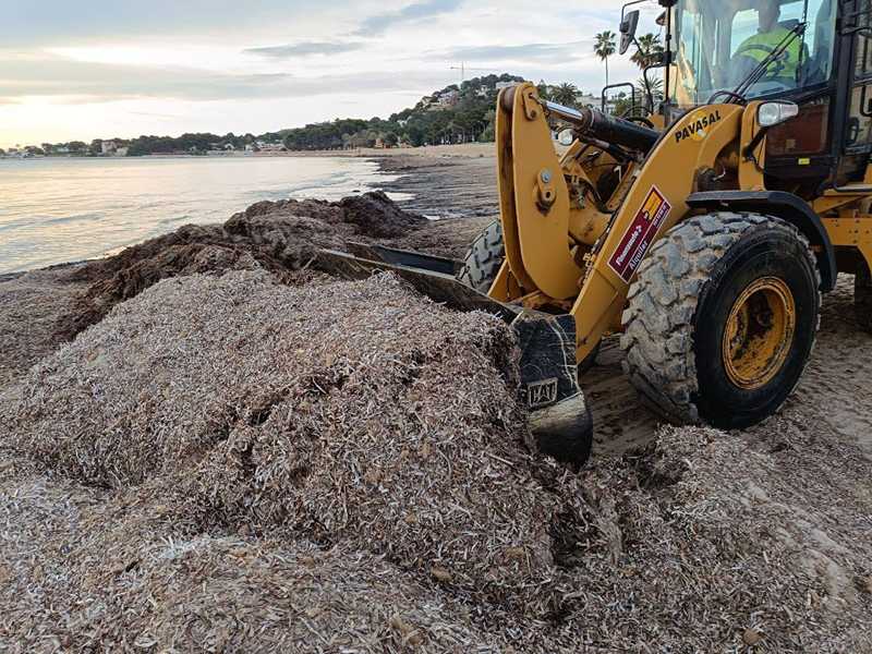 El nuevo contrato de vigilancia y socorrismo en las playas amplía el servicio hasta el 12 de...
