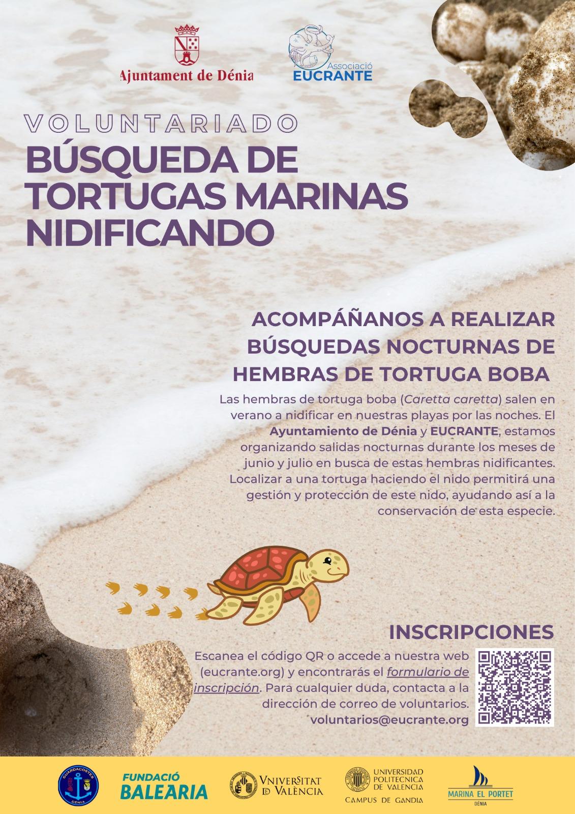 Dénia pone en marcha una campaña de voluntariado para la detección nocturna de nidos de tortuga