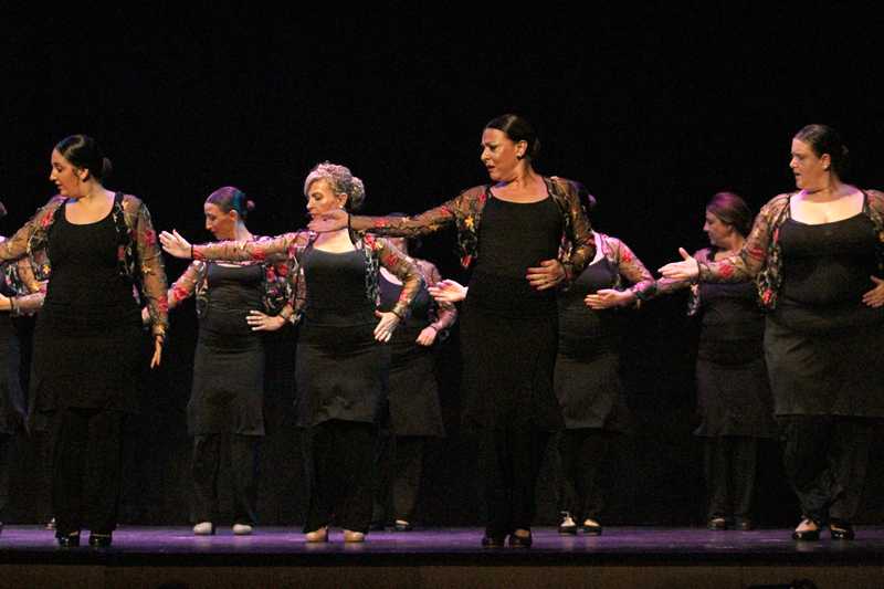 Festival de fi de curs dels tallers Llunàtics i Dinàmics