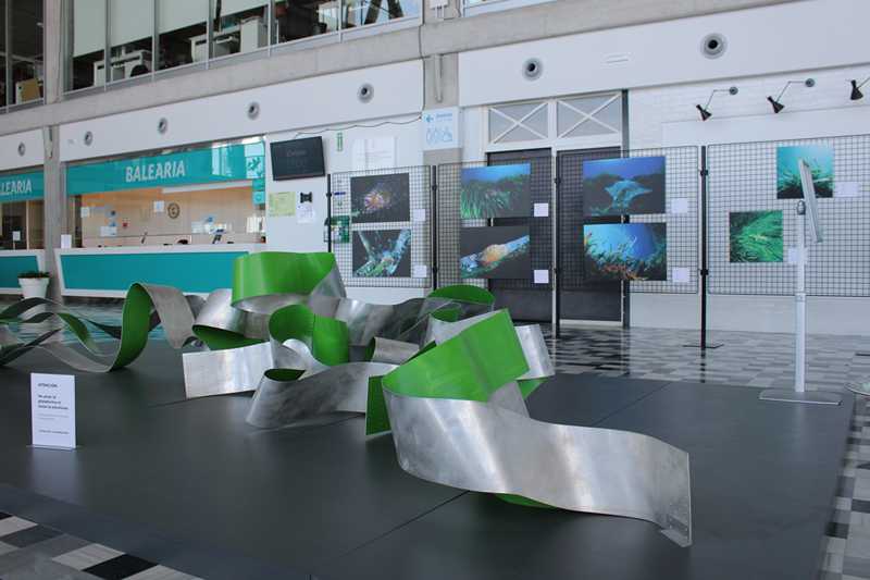  Una exposición a la estación marítima muestra la vida de la posidonia a través de la mirada de cuatro fotógrafos dianenses 