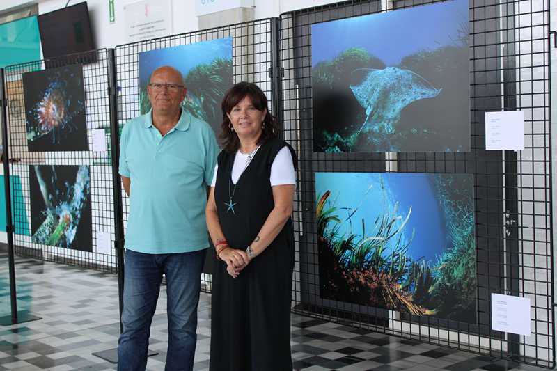 Una exposición a la estación marítima muestra la vida de la posidonia a través de la mirada de cuatro fotógrafos dianenses 
