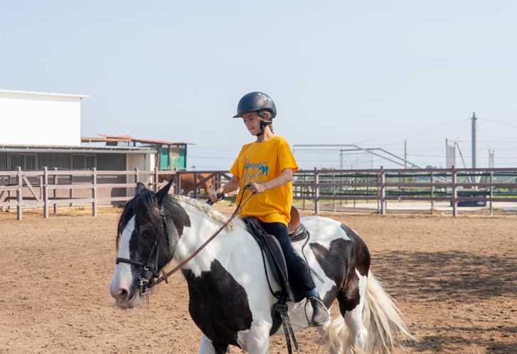 Dénia llança una nova línia de beques individuals per a esportistes federats amb l’objectiu ...