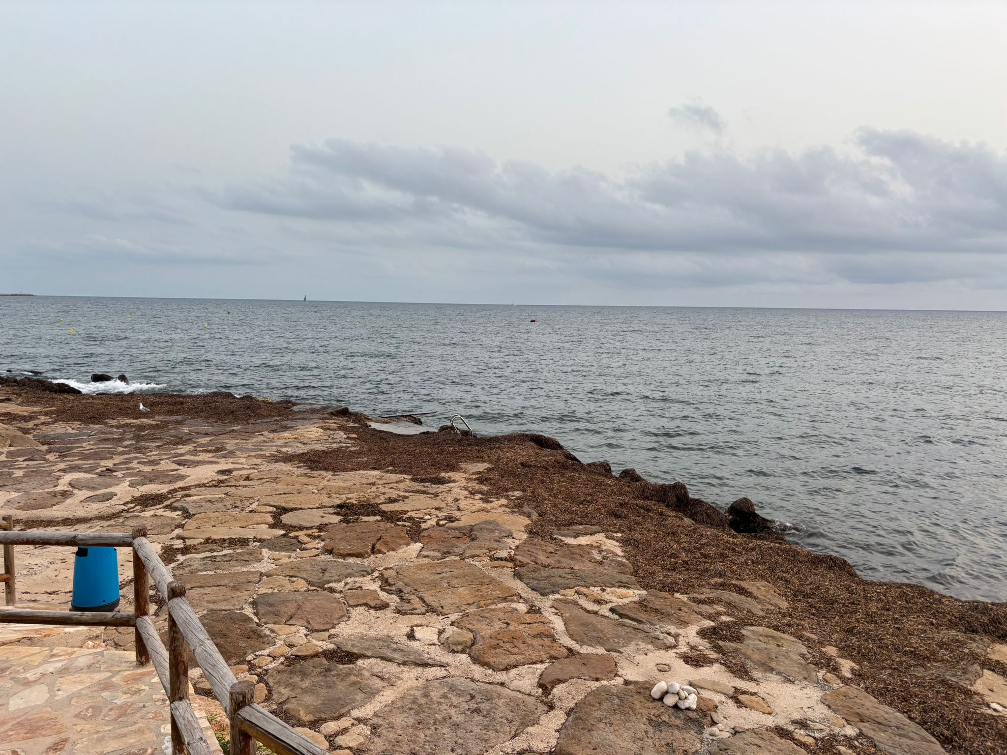  La modificación del 'Manual de buenas prácticas sobre la retirada de restos de posidonia y seba' solo afecta, en el caso de Dénia, a la playa de Els Molins 