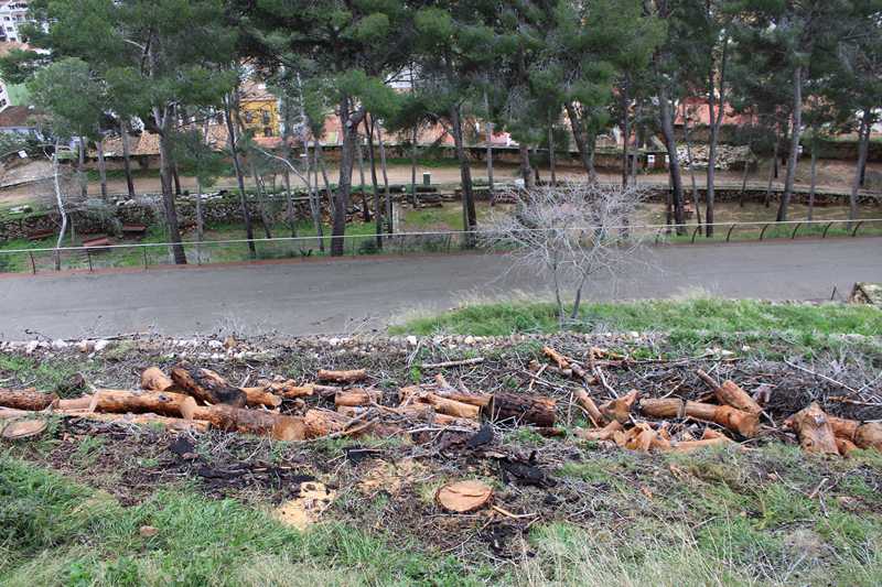 El Castell abre parcialmente el acceso al público desde hoy