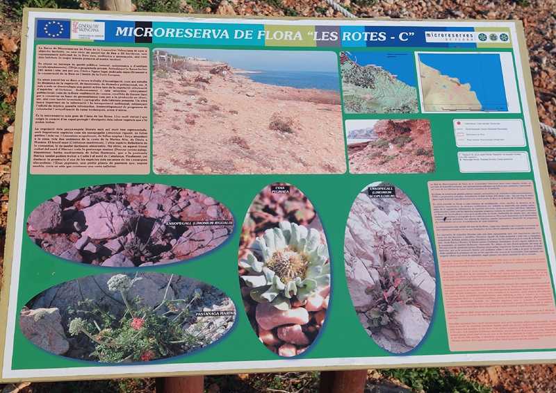 Panell informatiu de la micoreserva de flora al recorregut