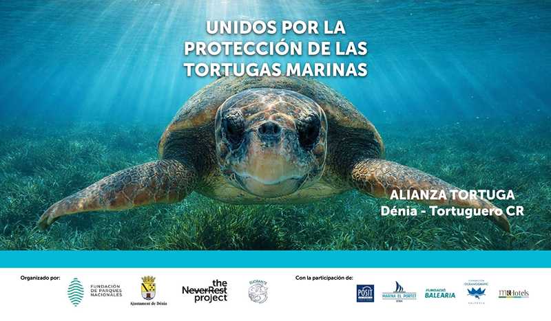  Dénia sella una alianza con Tortuguero para intercambiar metodologías y experiencias en la protección de las tortugas marinas 