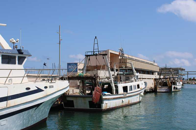  El Ajuntament de Dénia pide a la Generalitat que convoque “urgentemente” las ayudas económicas para el sector pesquero afectado por la parada biológica de 2025 y que acelere su pago 